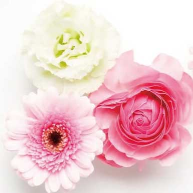 慶事 祝い事のイメージ