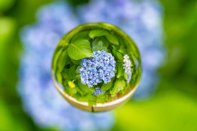 葬送の記録帳｜香典整理・芳名録の魅力