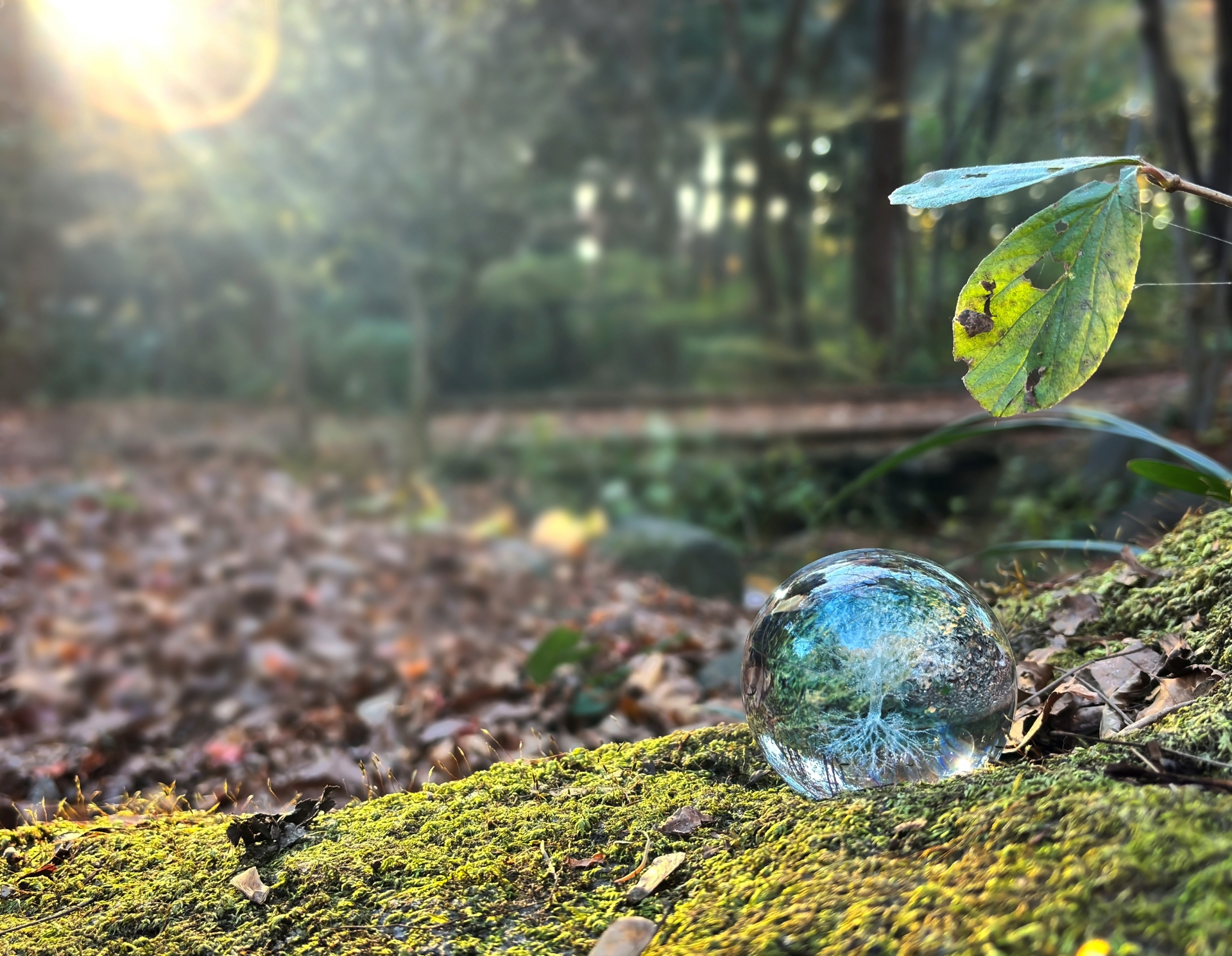 家族葬の香典整理 手書きが求められる理由