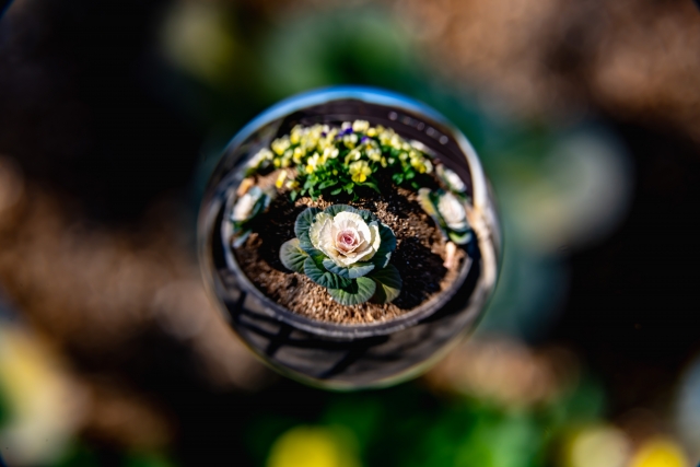 法要記録台帳（冊子版）｜四十九日から始める年回忌・法事の記録ノート