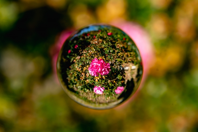 法要記録台帳（冊子版）｜四十九日から始める年回忌・法事の記録ノート