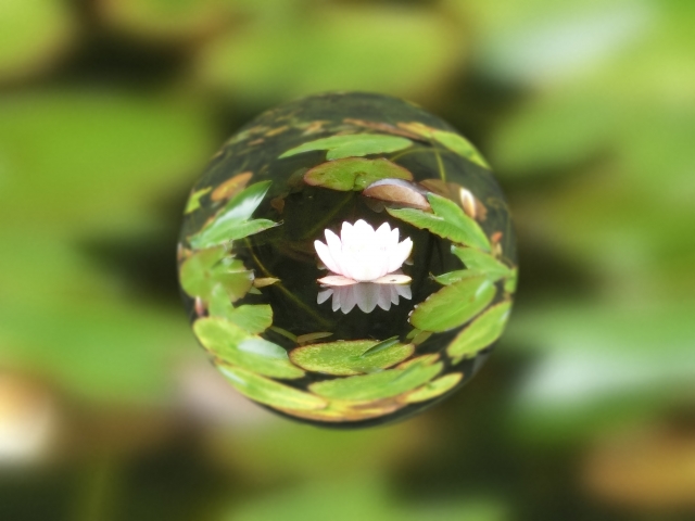 葬送の記録帳｜香典整理・芳名録の魅力